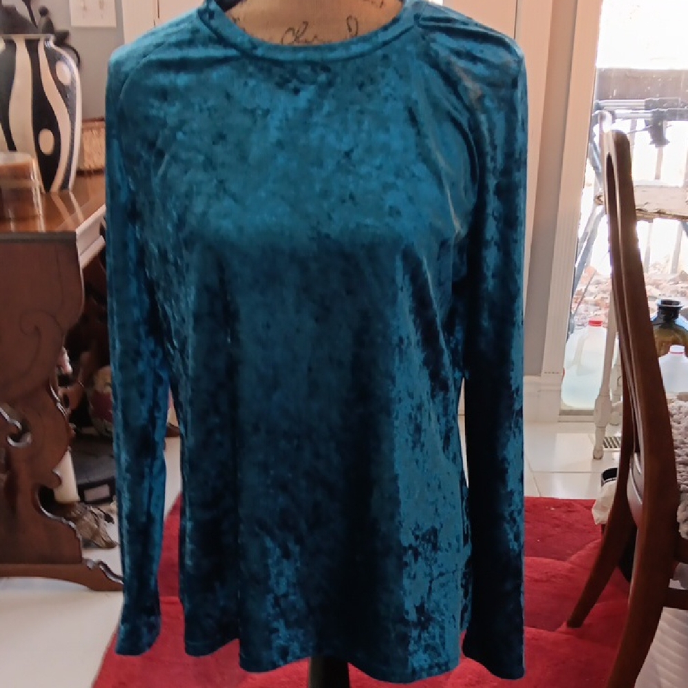 NWOT Teal Crushed Velvet Long Sleeve Women's Top Large